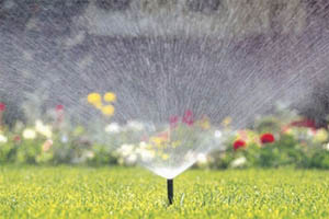 Impianto di irrigazione fuoriterra a Milano: 02 8359 5114 - 392 331 9300